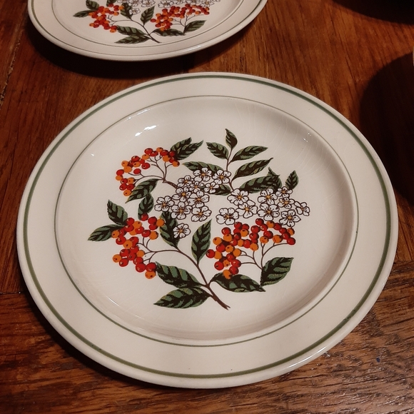 Vintage set of J & G Meakin’s Bone China - Picture 3 of 3